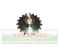 Koło zębate 1 1/4 Z18-40-45 014.00541